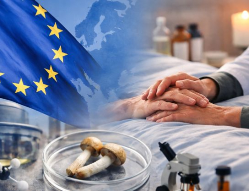 Evropski webinar: psihedelična terapija v paliativni oskrbi (13. aprila 2026)